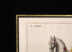 Set of Six 18th Century Hand Colored Prints of Horses by Baron D'Eisenberg