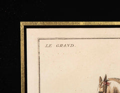 Set of Six 18th Century Hand Colored Prints of Horses by Baron D'Eisenberg