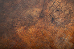 A Rustic Tripod Form Side Table with Tree Cross Section as Top