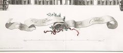 Pair of Carolius Nolli Engravings of Italian Architect Luigi Vanvitelli's Royal Palace of Caserta