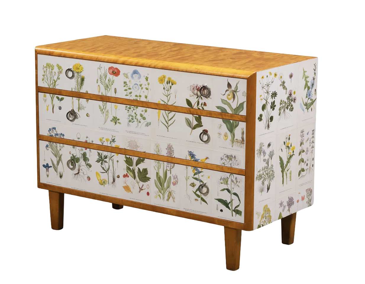 Swedish Chest with Botanical Lithograph Decorated Drawers in The Manner of Josef Frank