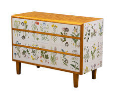 Swedish Chest with Botanical Lithograph Decorated Drawers in The Manner of Josef Frank