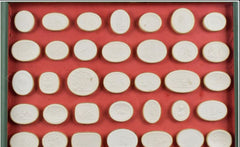 Early 19th Century Collection of Italian Grand Tour Plaster Intaglios