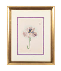 Set of Nine Japanese Hand Colored Prints of Iris