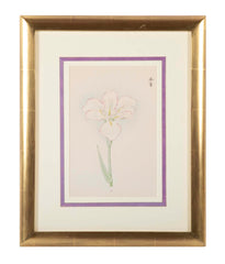 Set of Nine Japanese Hand Colored Prints of Iris