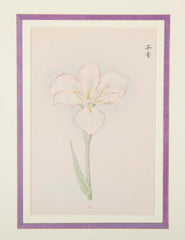 Set of Nine Japanese Hand Colored Prints of Iris