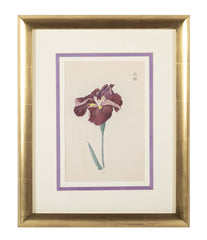 Set of Nine Japanese Hand Colored Prints of Iris
