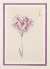 Set of Nine Japanese Hand Colored Prints of Iris