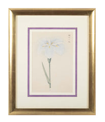 Set of Nine Japanese Hand Colored Prints of Iris