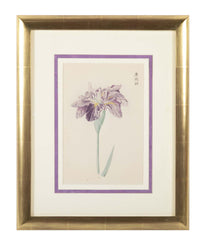 Set of Nine Japanese Hand Colored Prints of Iris