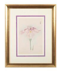 Set of Nine Japanese Hand Colored Prints of Iris