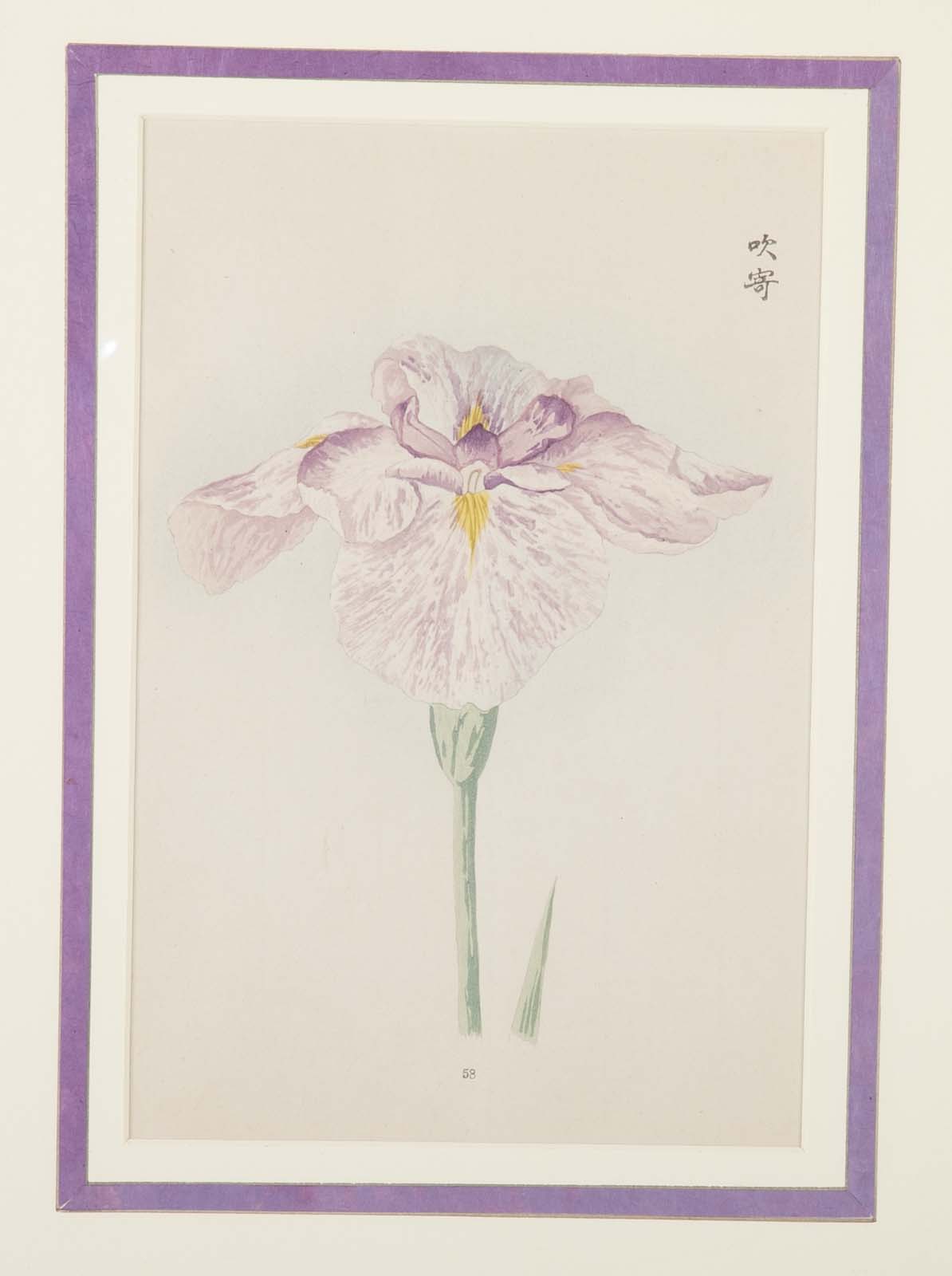 Set of Nine Japanese Hand Colored Prints of Iris