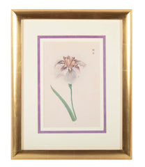 Set of Nine Japanese Hand Colored Prints of Iris