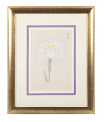 Set of Nine Japanese Hand Colored Prints of Iris