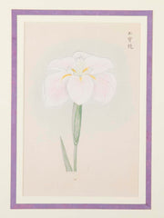 Set of Nine Japanese Hand Colored Prints of Iris