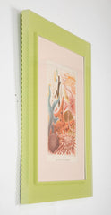 Set of Eight Chromolithographs of Australia's Great Barrier Reef