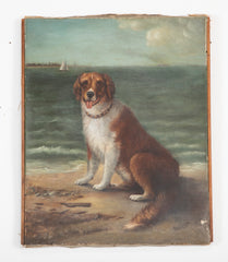 Unusual Portrait of a Large Dog on Beach with Sailboat & Steamer in Background
