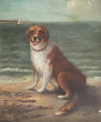 Unusual Portrait of a Large Dog on Beach with Sailboat & Steamer in Background