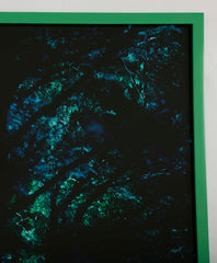 Archival Pigment Photograph by Chris Austin