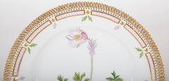 Royal Copenhagen Flora Danica Dinnerware Service
