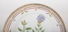 Royal Copenhagen Flora Danica Dinnerware Service