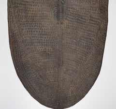 Embossed Metal Kirdi Shield from Cameroon on Bronze Stand