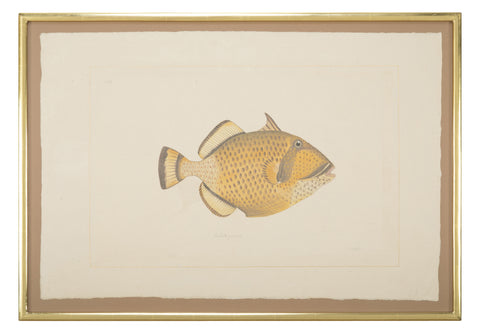 La Roche Laffitte Handpainted Fish on Silk