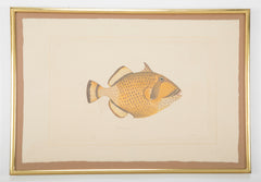 La Roche Laffitte Handpainted Fish on Silk