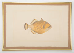 La Roche Laffitte Handpainted Fish on Silk