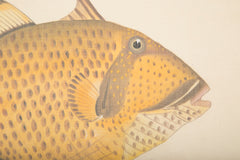 La Roche Laffitte Handpainted Fish on Silk