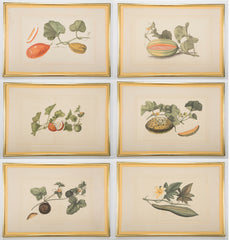 Set of Six La Roche Laffitte Handpainted Vegetables on Silk