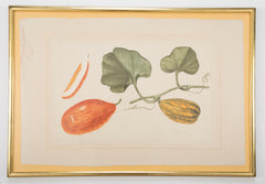 Set of Six La Roche Laffitte Handpainted Vegetables on Silk