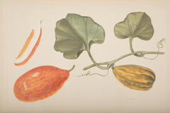 Set of Six La Roche Laffitte Handpainted Vegetables on Silk