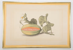 Set of Six La Roche Laffitte Handpainted Vegetables on Silk