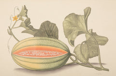 Set of Six La Roche Laffitte Handpainted Vegetables on Silk