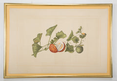 Set of Six La Roche Laffitte Handpainted Vegetables on Silk