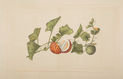 Set of Six La Roche Laffitte Handpainted Vegetables on Silk