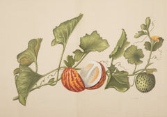 Set of Six La Roche Laffitte Handpainted Vegetables on Silk