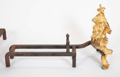 Marvelous Pair of Louis XV D'ore Bronze Chenets/Andirons