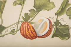 Set of Six La Roche Laffitte Handpainted Vegetables on Silk