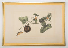 Set of Six La Roche Laffitte Handpainted Vegetables on Silk