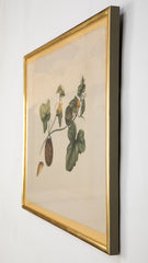 Set of Six La Roche Laffitte Handpainted Vegetables on Silk