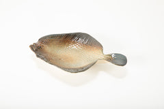 A Dish in The Form of a Fluke by Rosalie Nadeau