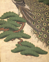 19th Century Japanese Screen Painting of a Peacock
