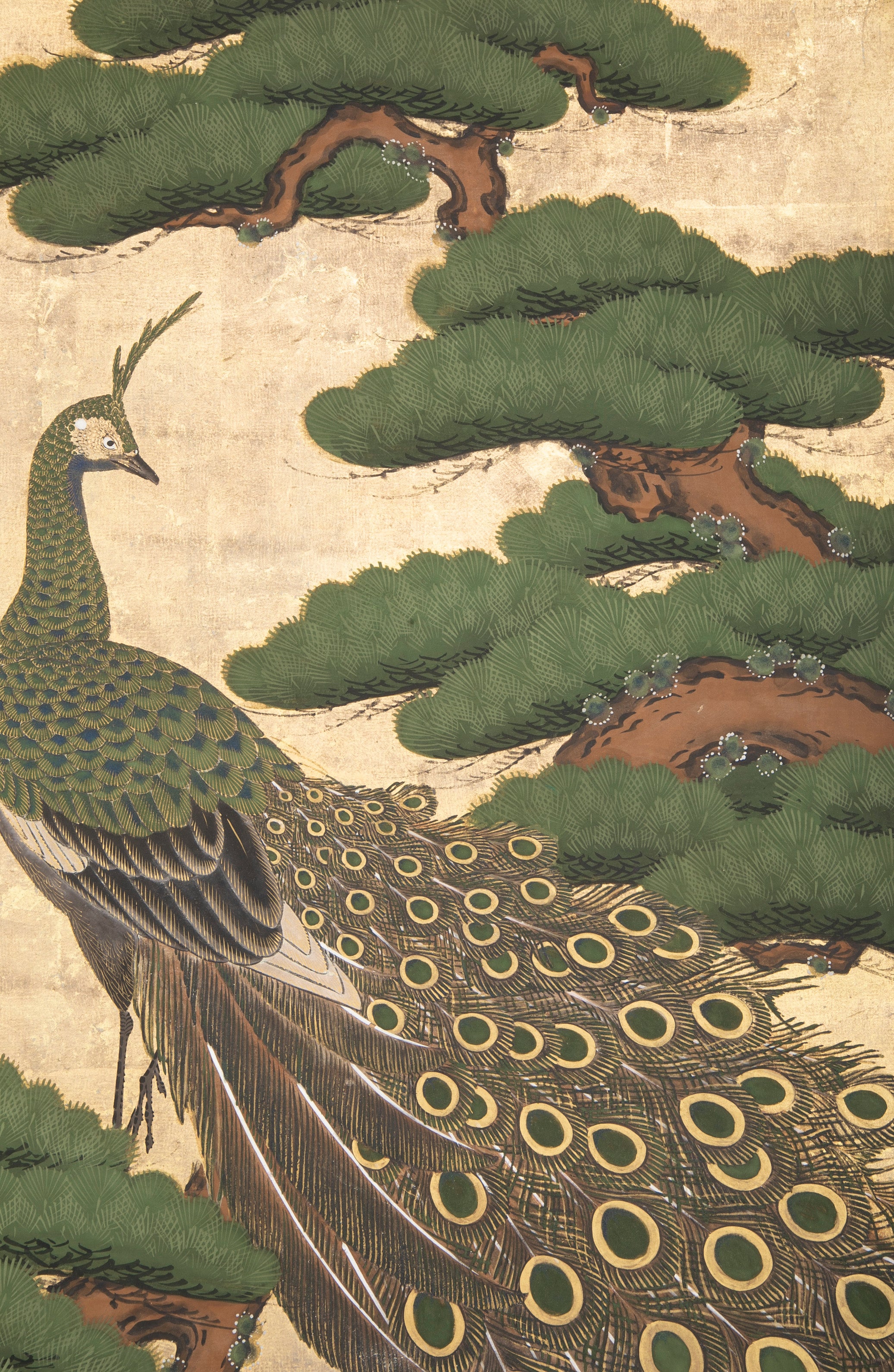 19th Century Japanese Screen Painting of a Peacock