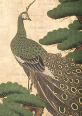 19th Century Japanese Screen Painting of a Peacock