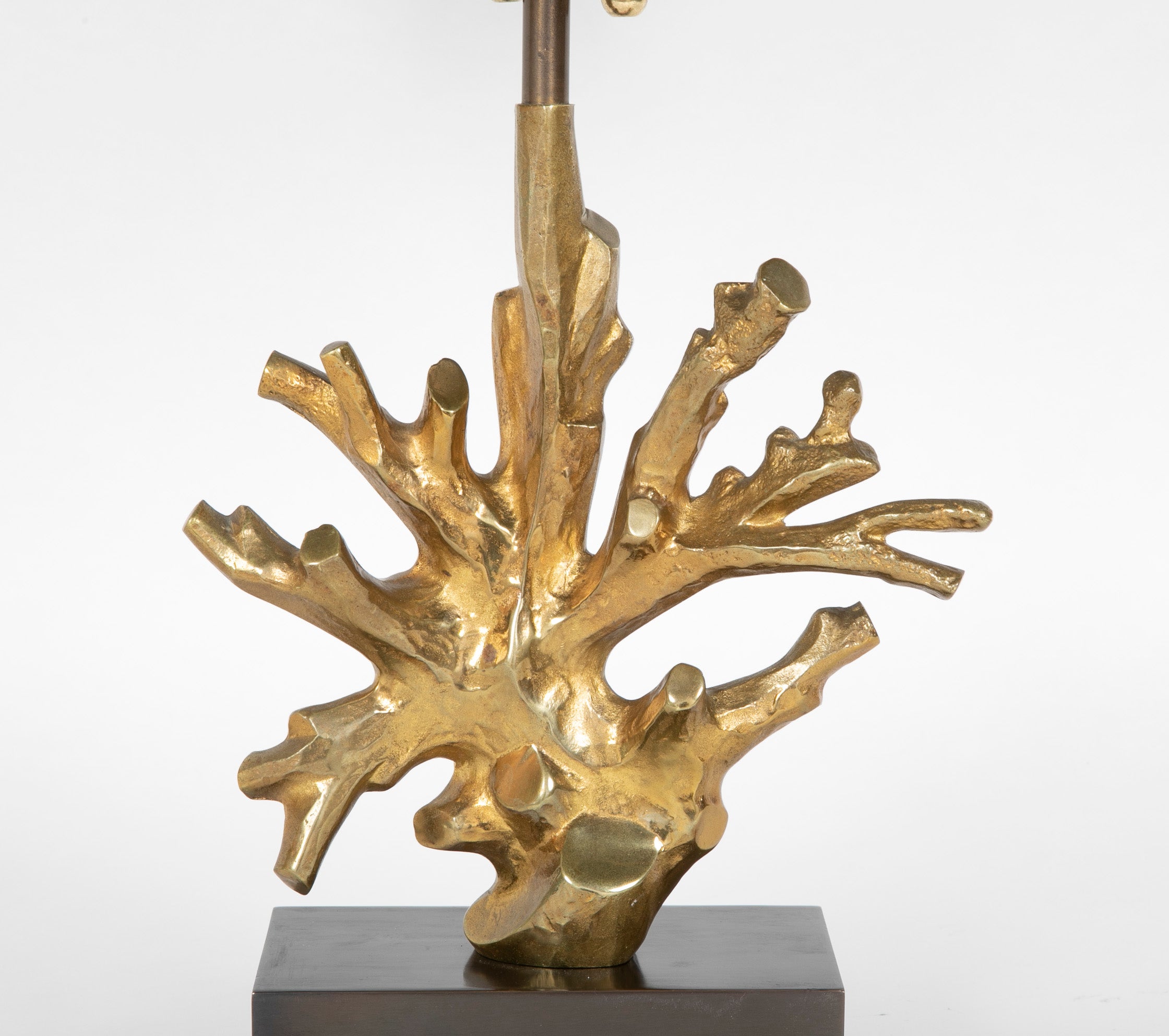 Coral Form Lamp on Bronze Base