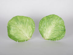 A Pair of Mary Kirk Kelly Porcelain Plates in Leaf Form