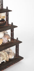 Five Tier Shell Collection from an Old Maine Estate