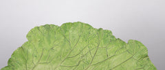 Mary Kirk Kelly Inscribed Ceramic Leaf Tray